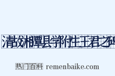 清故湘潭县学附生王君之碑是什么意思的图片